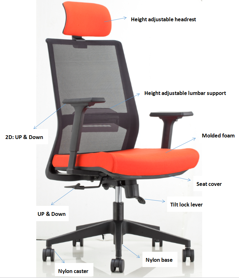 Ưu điểm tuyệt vời của dòng ghế xoay văn phòng nhập khẩu - ảnh 2